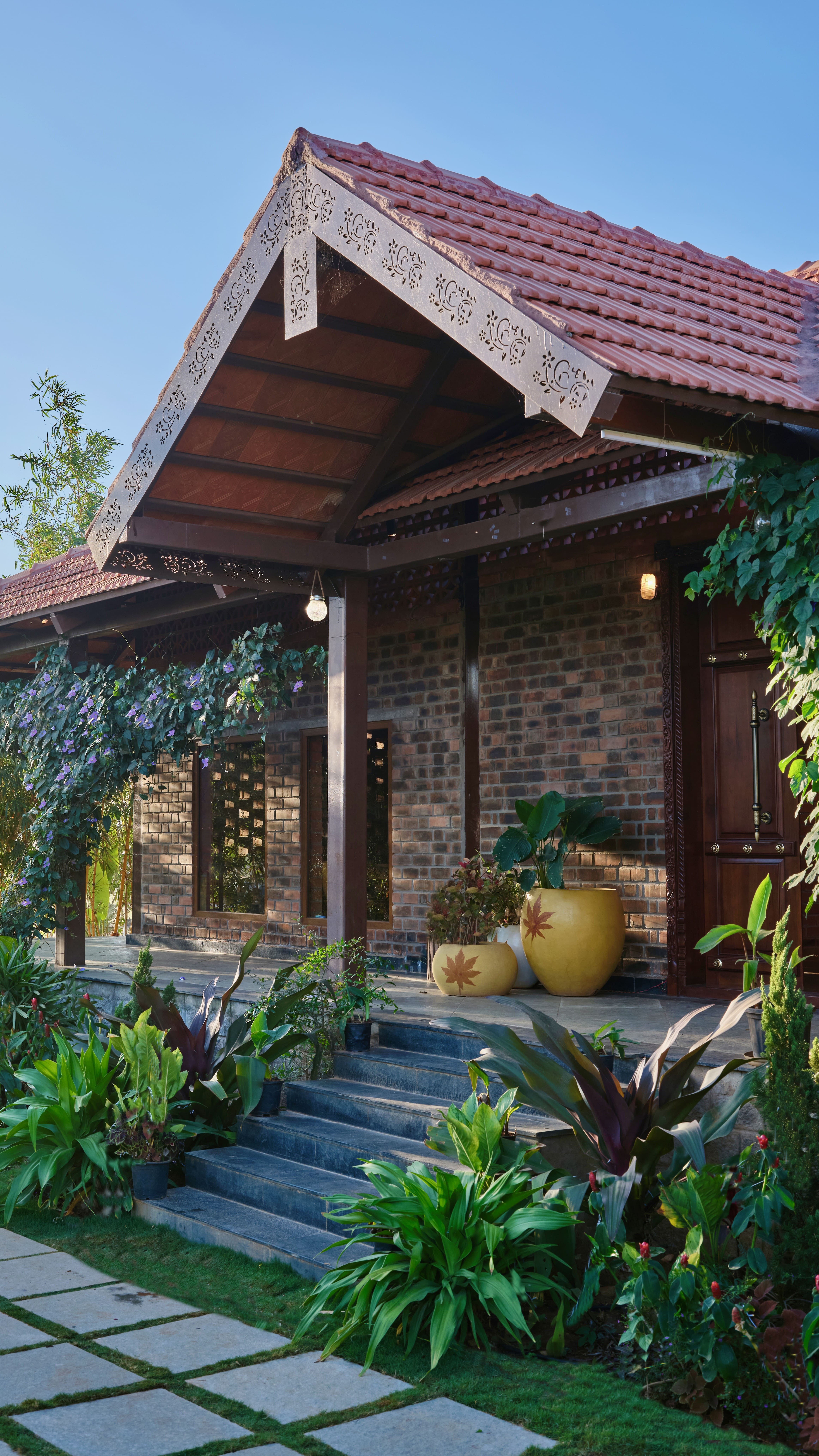 Banyan Tree