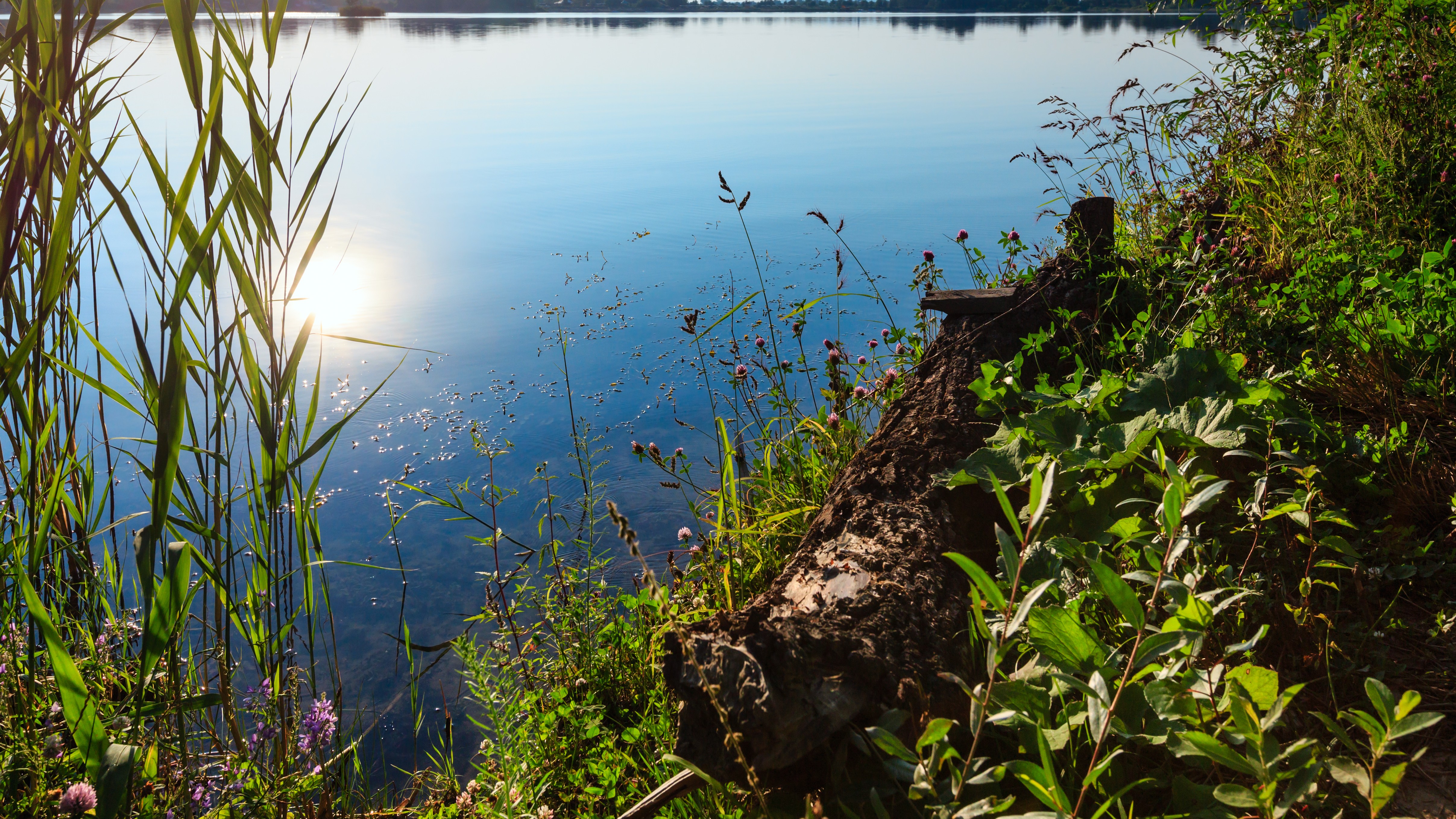 Lake